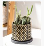 A Pair of cement Flower Pots Set (6902) - Image 2