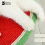 Cat scratching board watermelon design - Image 8