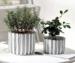 A Pair of cement Flower Pots Set (3029)