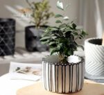 A Pair of cement Flower Pots Set (3029) - Image 6