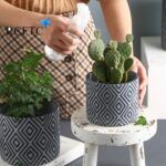 Set of 3 cement Flower Pots (5922) - Image 3