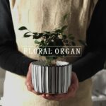 A Pair of cement Flower Pots Set (3029) - Image 4