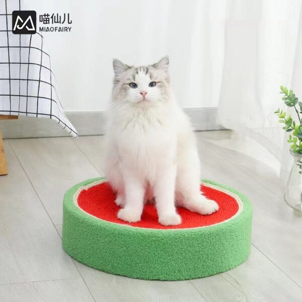 Cat scratching board watermelon design - Image 3
