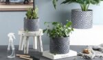 Set of 3 cement Flower Pots (5922) - Image 7