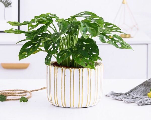 A Pair of cement Flower Pots Set (5927) - Image 3