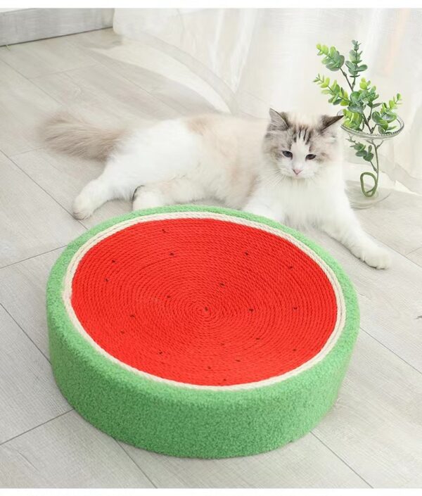 Cat scratching board watermelon design - Image 5