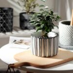 A Pair of cement Flower Pots Set (3029) - Image 5