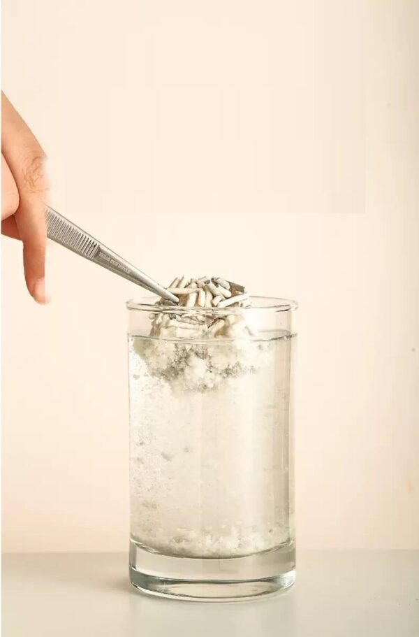 Food Grade Tofu Cat Litter flushable in toilet 6Lx6 bags (charcoal) - Image 5