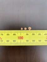 Succulent Soil Vitality Soil 2-5mm 1KG - Image 2