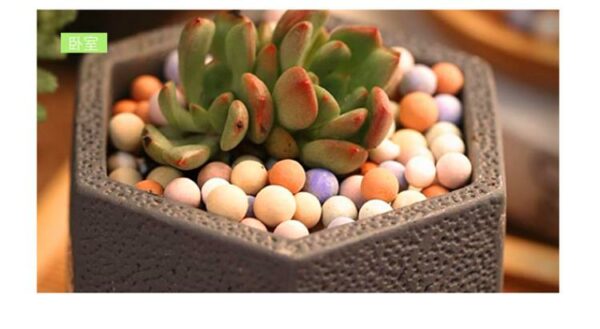 Succulent Soil Vitality Soil Flower pot decoration 3-6mm 1KG - Image 3