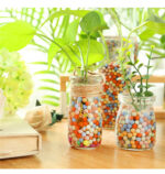 Succulent Soil Vitality Soil Flower pot decoration 3-6mm 1KG - Image 4