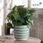 A Pair of cement Flower Pots Set (5907) - Image 5