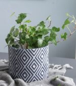 Set of 3 cement Flower Pots (5922) - Image 10