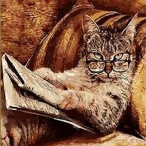 DIY Paint By Numbers Canvas Framed-Reading Cat
