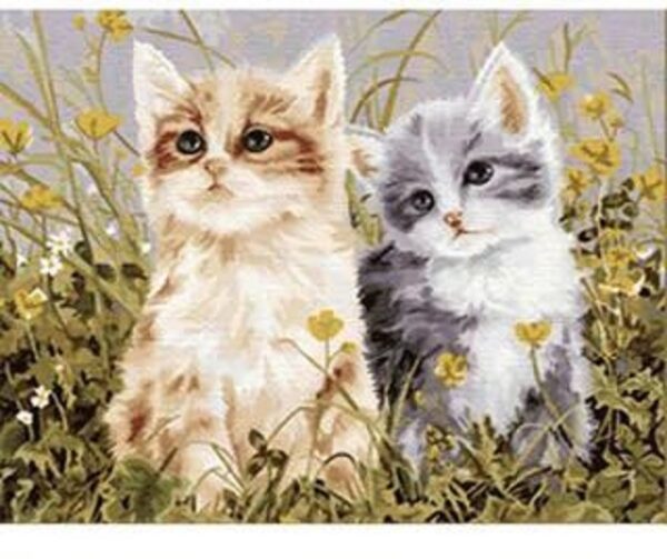 DIY Paint By Numbers Canvas Framed-Kitten - Image 1