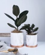 Set of 3 ceramics Flower Pots grey marbling pattern with saucers - Image 5