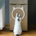 Cat Scratch Board Cat Toy - Image 5