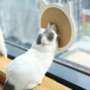 Cat Scratch Board Cat Toy