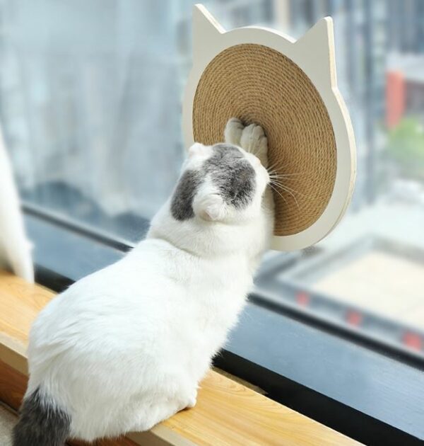 Cat Scratch Board Cat Toy - Image 1